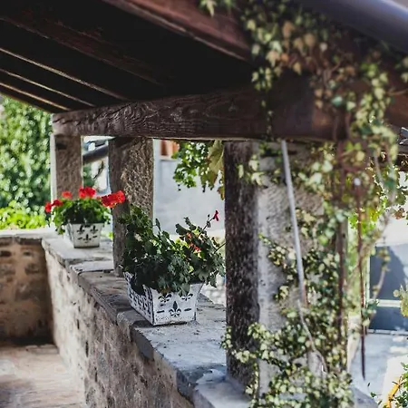 Homes Poli Svetega Antona Tatil Evi Gračišće
